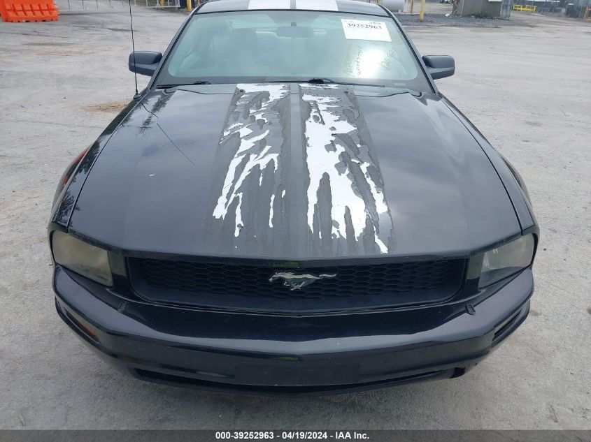 1ZVFT80N255240556 | 2005 FORD MUSTANG