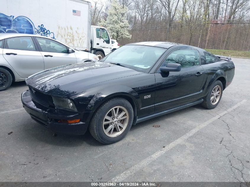 1ZVFT80N255240556 | 2005 FORD MUSTANG