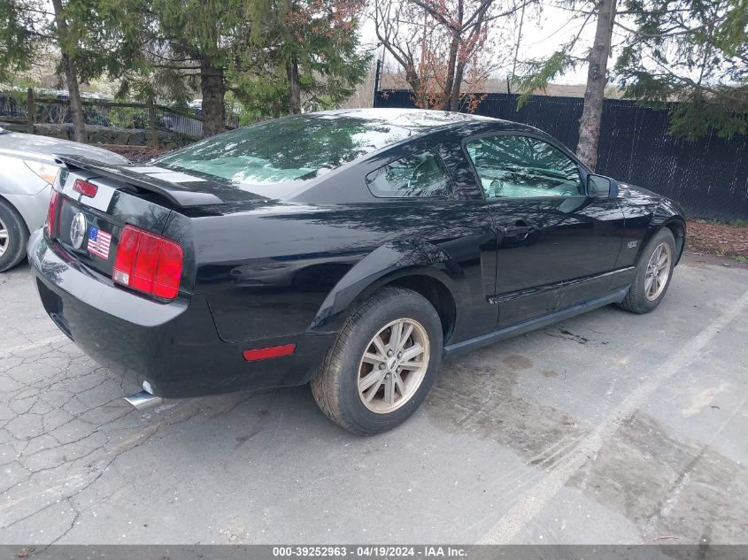 1ZVFT80N255240556 | 2005 FORD MUSTANG