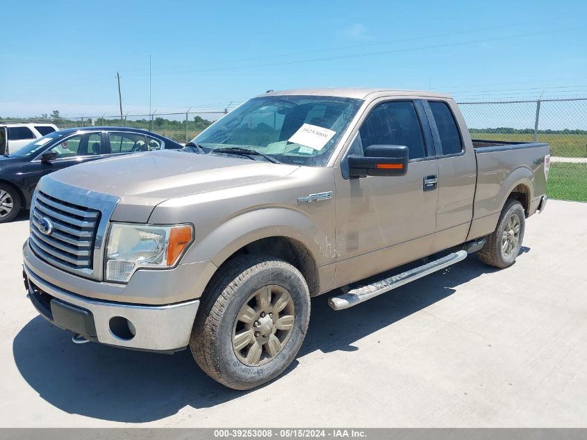 2011 Ford F-150 Xlt VIN: 1FTFX1EF6BKD25915 Lot: 39253008