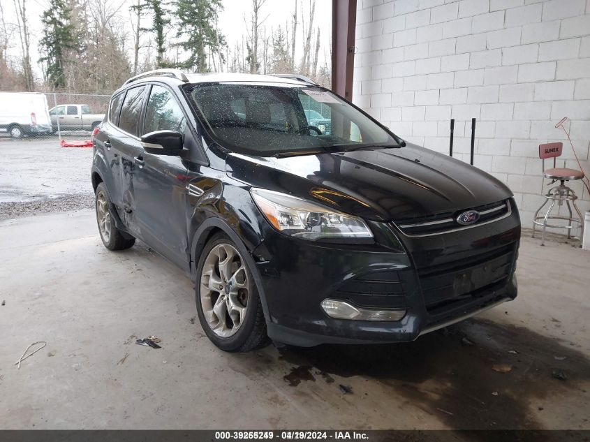 2014 Ford Escape Titanium VIN: 1FMCU9J98EUA63720 Lot: 39255249