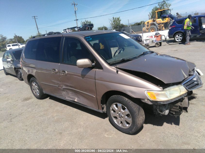 2003 Honda Odyssey Ex-L VIN: 5FNRL18733B056820 Lot: 39255390