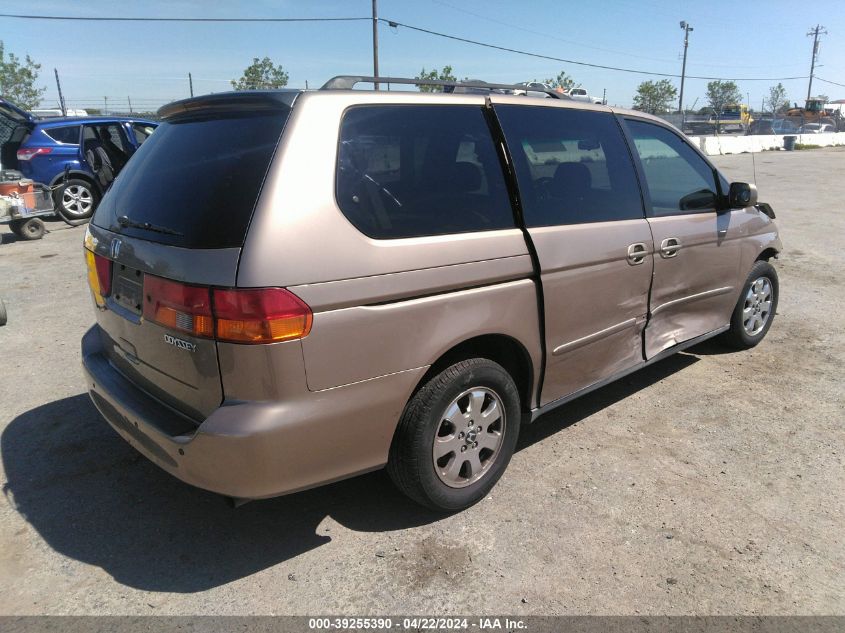 2003 Honda Odyssey Ex-L VIN: 5FNRL18733B056820 Lot: 39255390