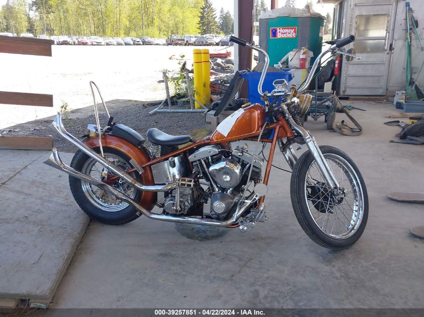 1980 Harley Custom VIN: PA1RW2C25DN128021 Lot: 39257851