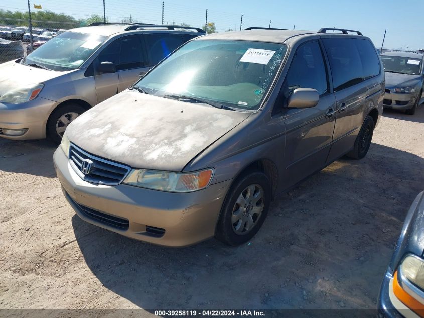 2004 Honda Odyssey Ex-L VIN: 5FNRL18044B059889 Lot: 39258119