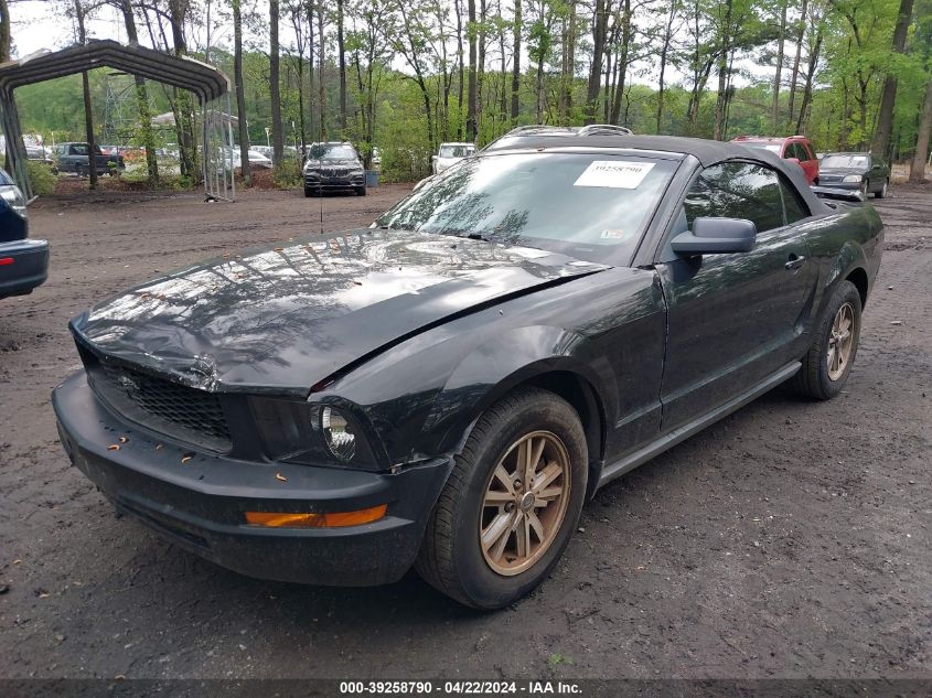 1ZVFT84N655238108 | 2005 FORD MUSTANG