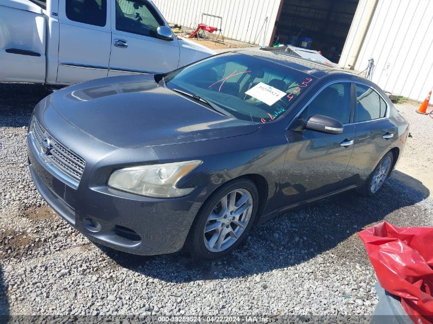 2011 Nissan Maxima 3.5 Sv VIN: 1N4AA5AP6BC833660 Lot: 48608444