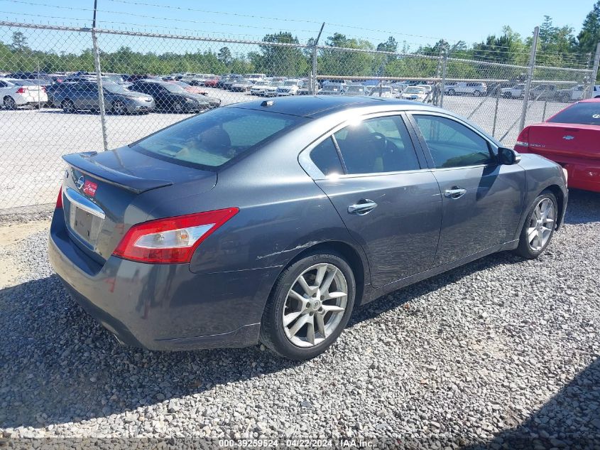 2011 Nissan Maxima 3.5 Sv VIN: 1N4AA5AP6BC833660 Lot: 48608444