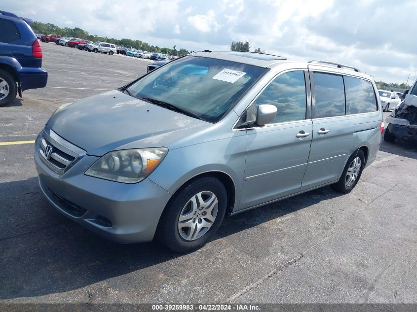 2007 Honda Odyssey Ex-L VIN: 5FNRL387X7B018177 Lot: 39219178