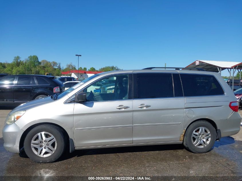 2005 Honda Odyssey Ex-L VIN: 5FNRL38775B125345 Lot: 39263983