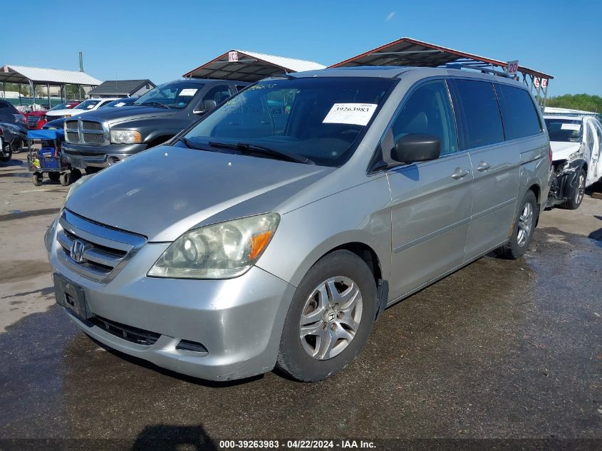 2005 Honda Odyssey Ex-L VIN: 5FNRL38775B125345 Lot: 39263983