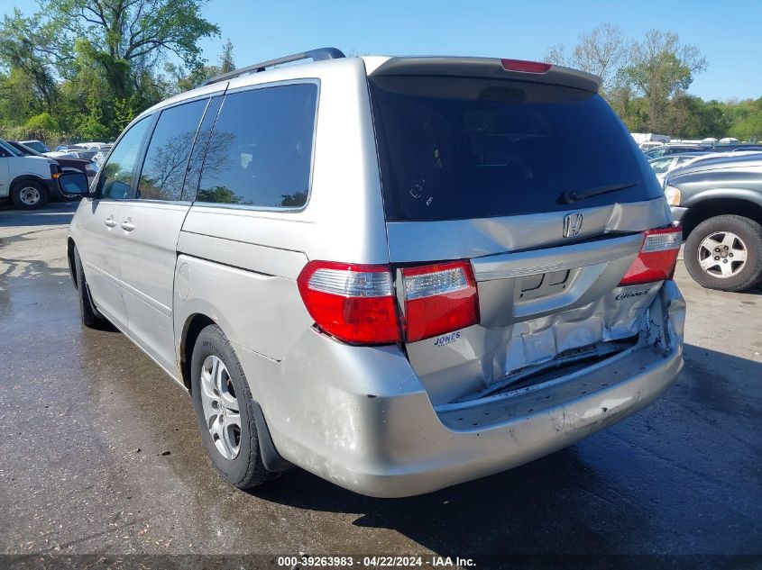 2005 Honda Odyssey Ex-L VIN: 5FNRL38775B125345 Lot: 39263983