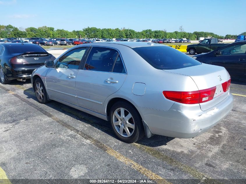 1HGCM66505A070625 | 2005 HONDA ACCORD