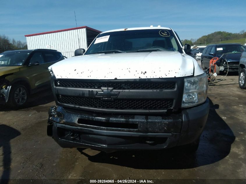 2010 Chevrolet Silverado 1500 Work Truck VIN: 1GCSKPE34AZ291078 Lot: 39284965