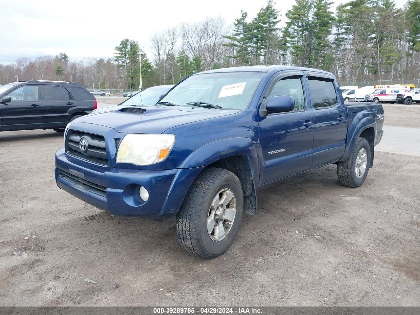 5TELU42N87Z416535 | 2007 TOYOTA TACOMA