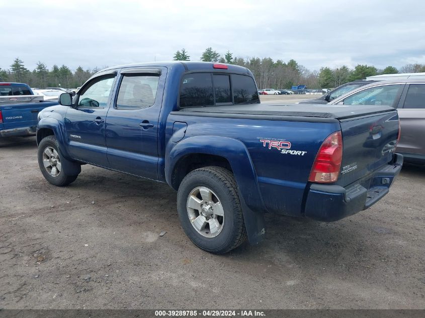 5TELU42N87Z416535 | 2007 TOYOTA TACOMA