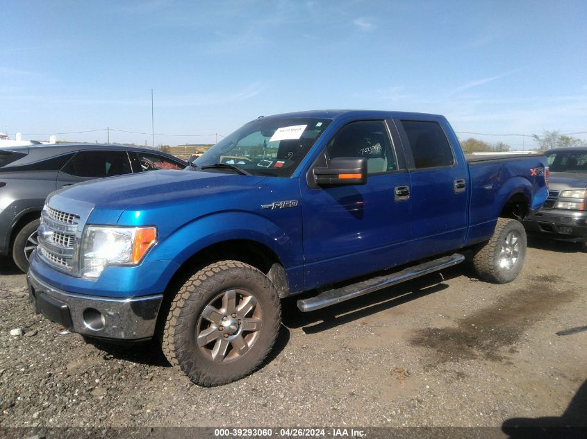 1FTFW1EF1DFA55572 | 2013 FORD F-150