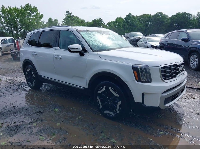 2024 Kia Telluride S VIN: 5XYP64GCXRG484741 Lot: 39296840