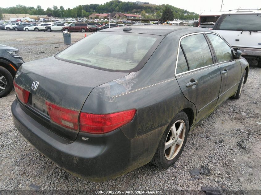 1HGCM56855A119242 | 2005 HONDA ACCORD