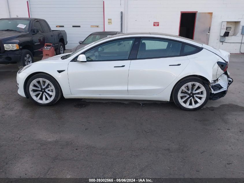 2023 Tesla Model 3 Rear-Wheel Drive VIN: 5YJ3E1EA2PF428184 Lot: 39302565