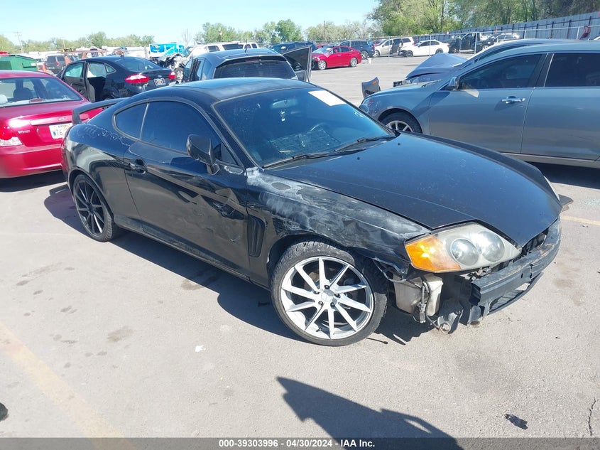 2004 Hyundai Tiburon Gt V6/Gt V6 Special Edition VIN: KMHHN65F04U134649 Lot: 39303996