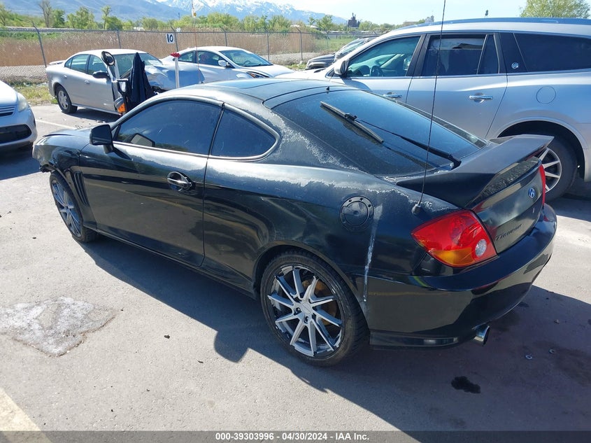 2004 Hyundai Tiburon Gt V6/Gt V6 Special Edition VIN: KMHHN65F04U134649 Lot: 39303996