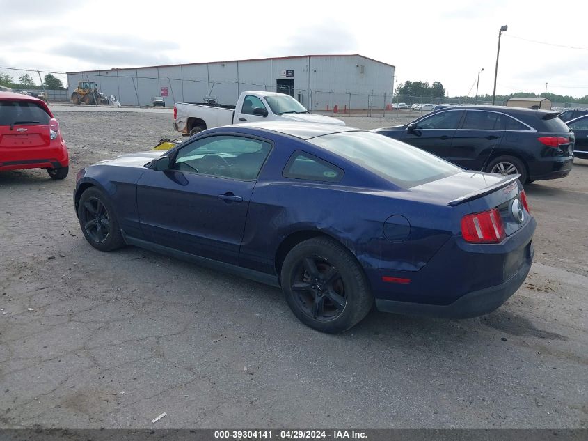 1ZVBP8AN9A5164345 | 2010 FORD MUSTANG