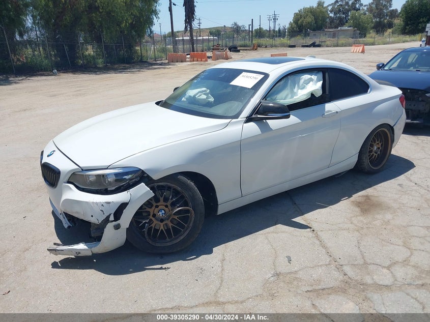 2019 BMW 230I VIN: WBA2J1C59KVD09961 Lot: 39305290