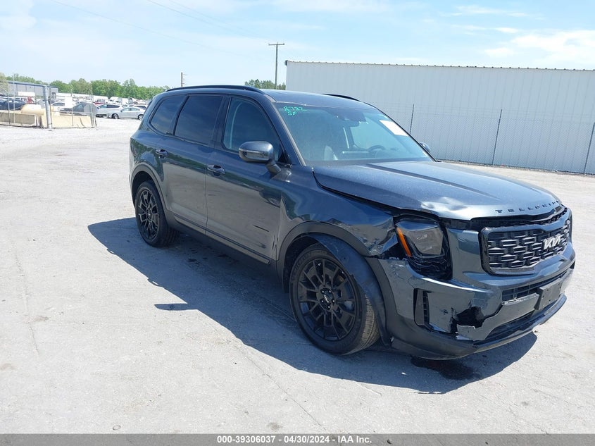 2022 Kia Telluride Ex VIN: 5XYP3DHC4NG274430 Lot: 39306037
