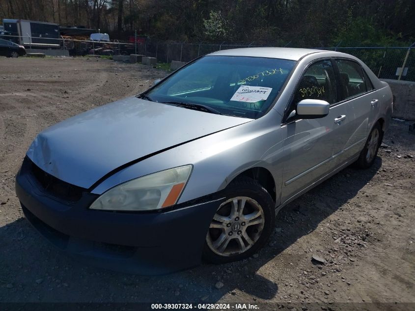 1HGCM56366A095944 | 2006 HONDA ACCORD