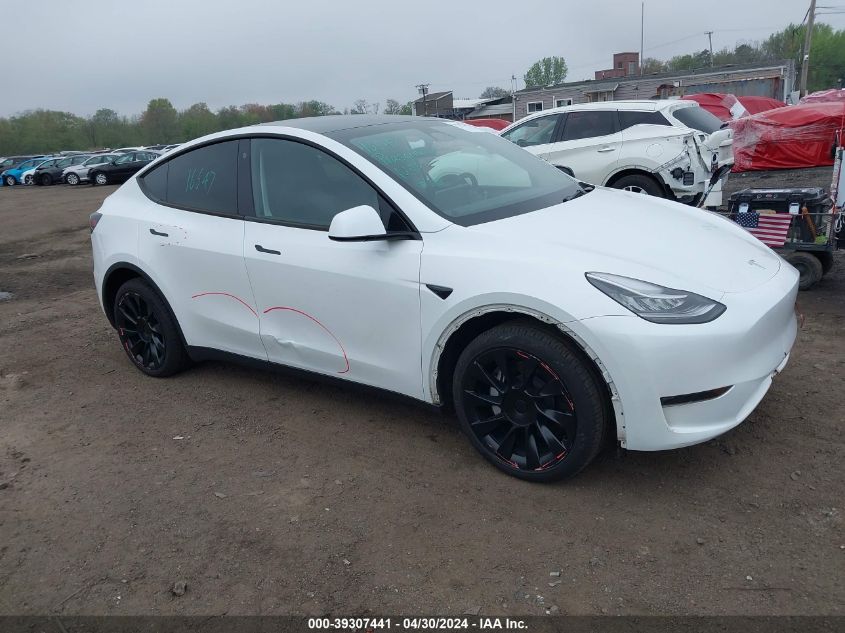 2023 Tesla Model Y VIN: 7SAYGDEE1PA059922 Lot: 40809082