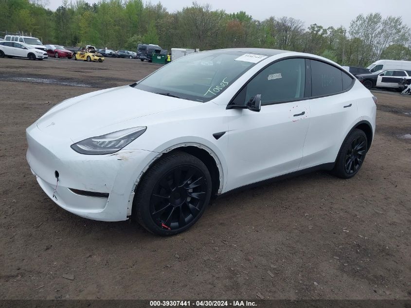 2023 Tesla Model Y VIN: 7SAYGDEE1PA059922 Lot: 40809082