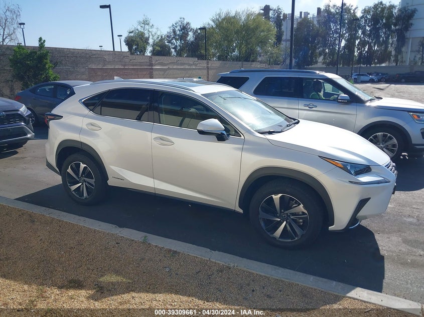 2021 LEXUS NX 300H - JTJGJRDZ9M2162614