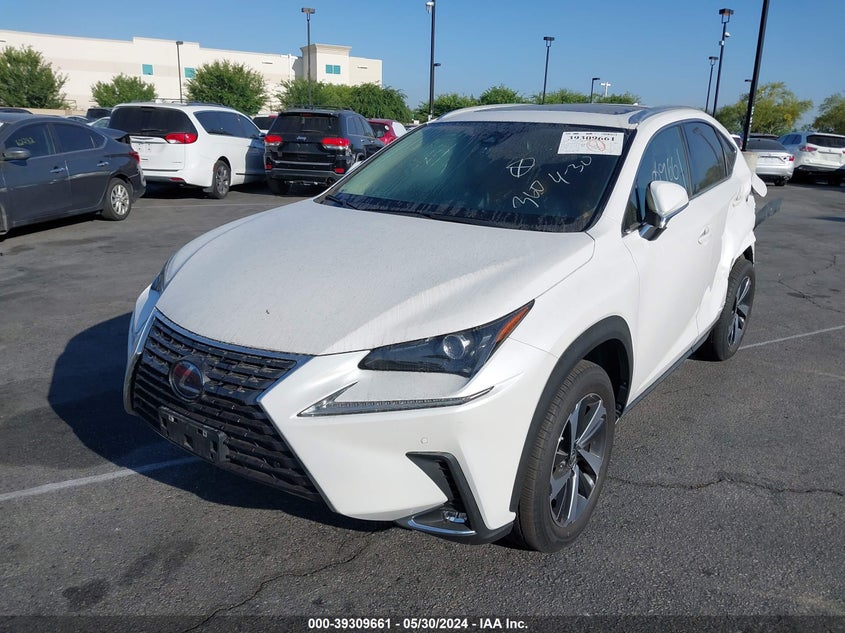 2021 LEXUS NX 300H - JTJGJRDZ9M2162614