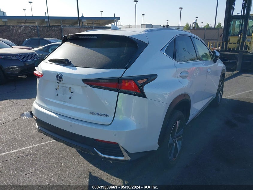 2021 LEXUS NX 300H - JTJGJRDZ9M2162614