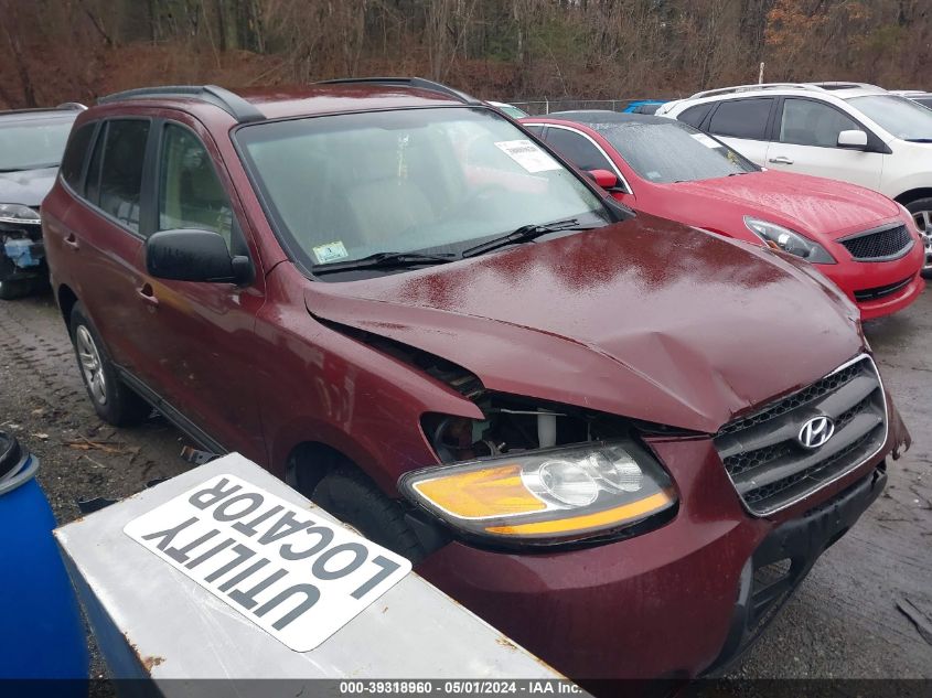 2009 Hyundai Santa Fe Gls VIN: 5NMSG13D19H317503 Lot: 39318960