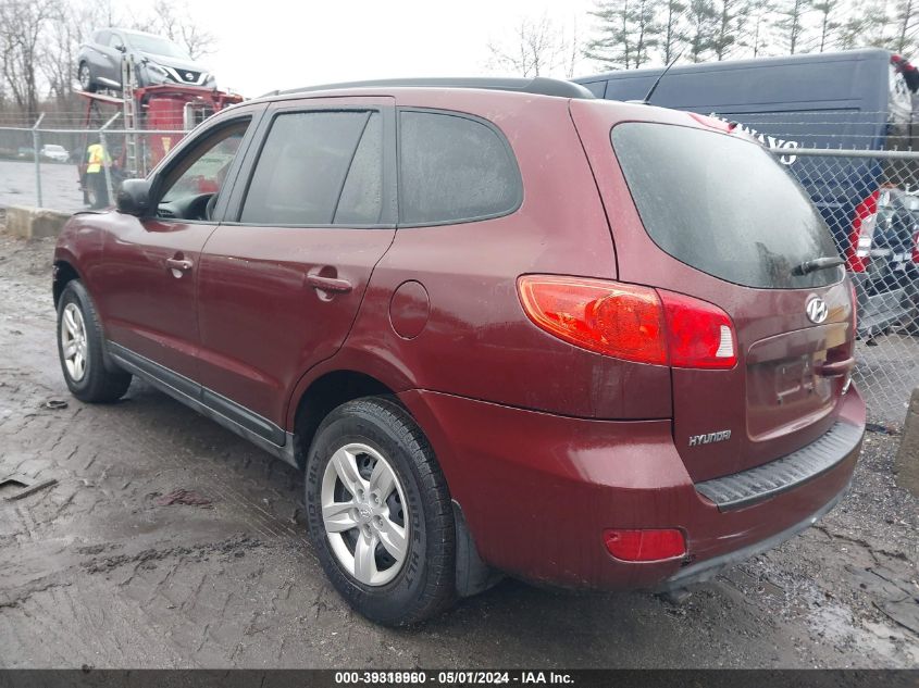 2009 Hyundai Santa Fe Gls VIN: 5NMSG13D19H317503 Lot: 39318960