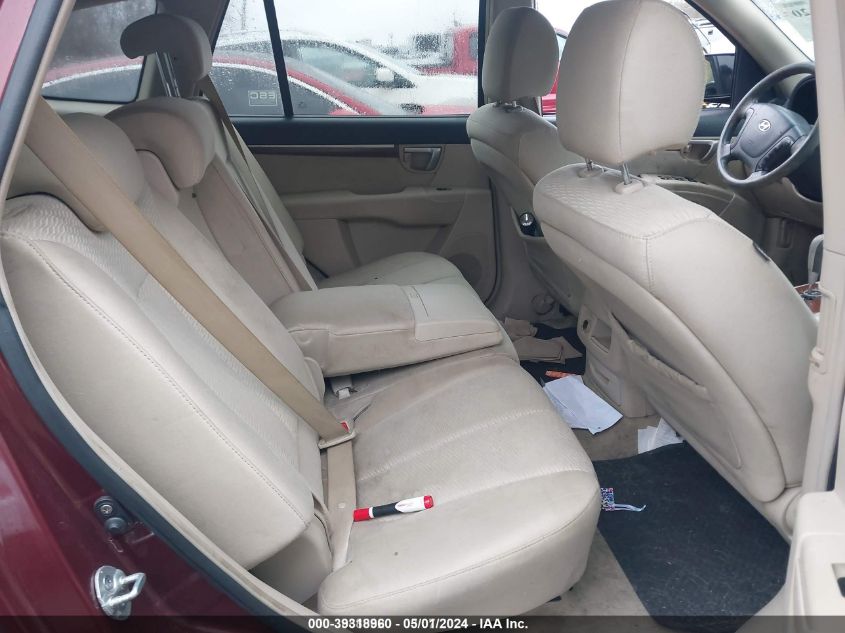 2009 Hyundai Santa Fe Gls VIN: 5NMSG13D19H317503 Lot: 39318960