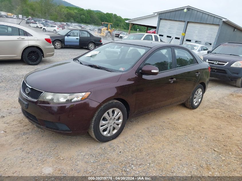 KNAFU4A27A5818509 | 2010 KIA FORTE