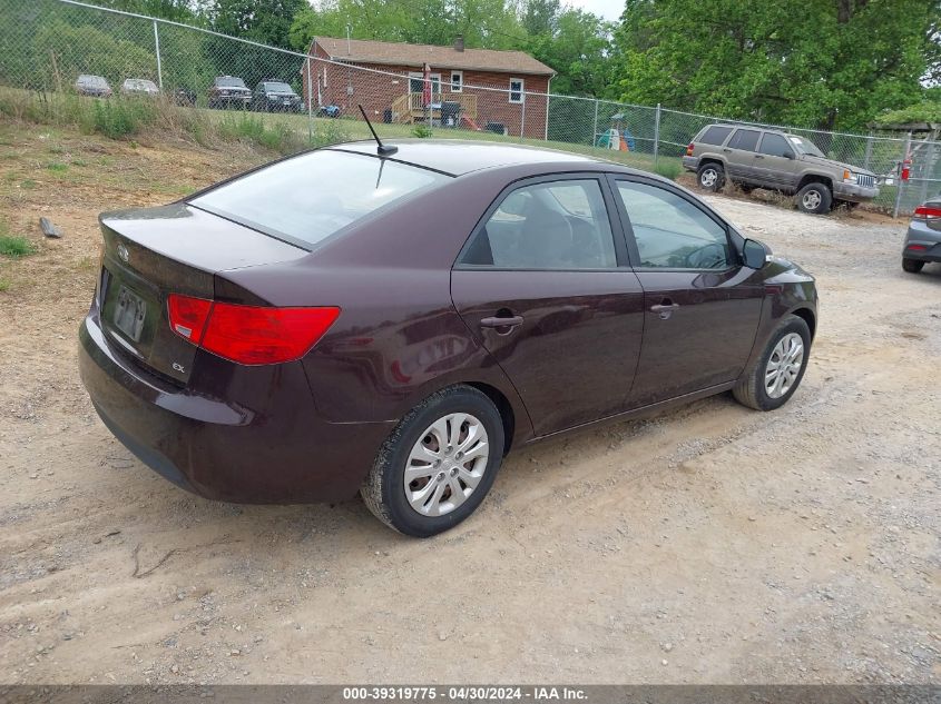 KNAFU4A27A5818509 | 2010 KIA FORTE