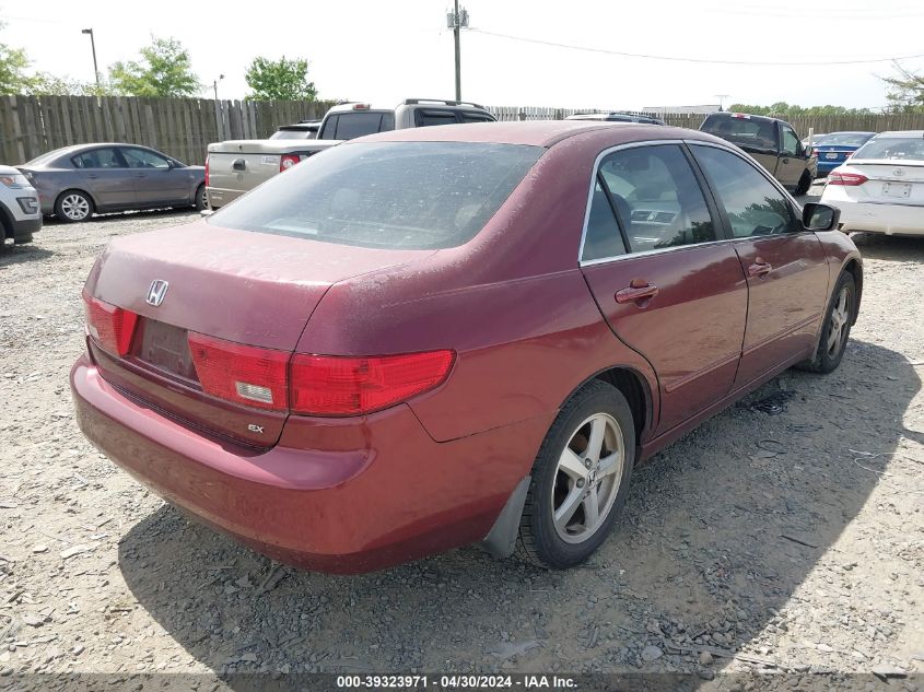 1HGCM56775A111683 | 2005 HONDA ACCORD