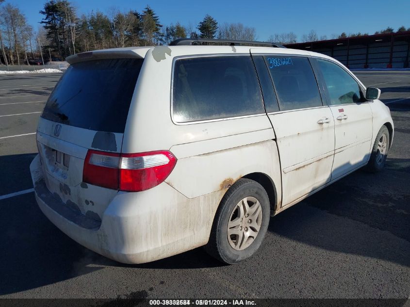 2007 Honda Odyssey Ex VIN: 5FNRL38417B055298 Lot: 39332584