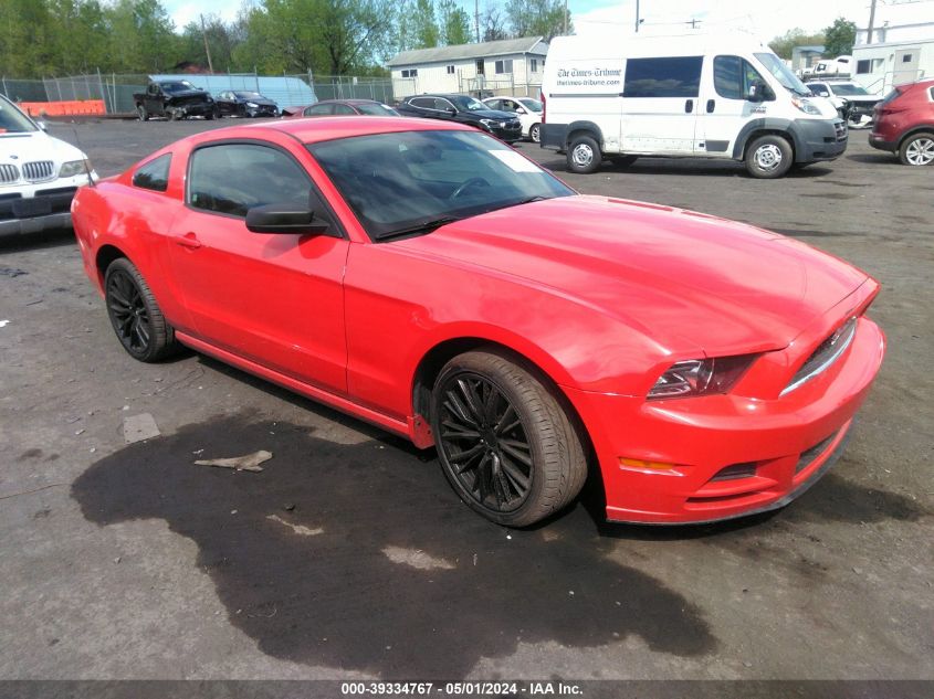 1ZVBP8AM8E5316242 | 2014 FORD MUSTANG