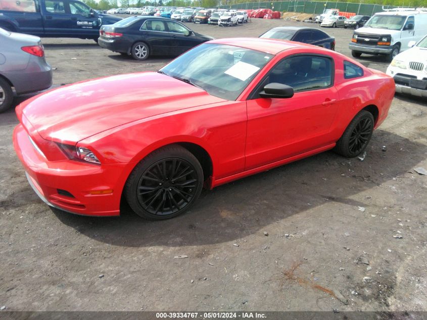 1ZVBP8AM8E5316242 | 2014 FORD MUSTANG