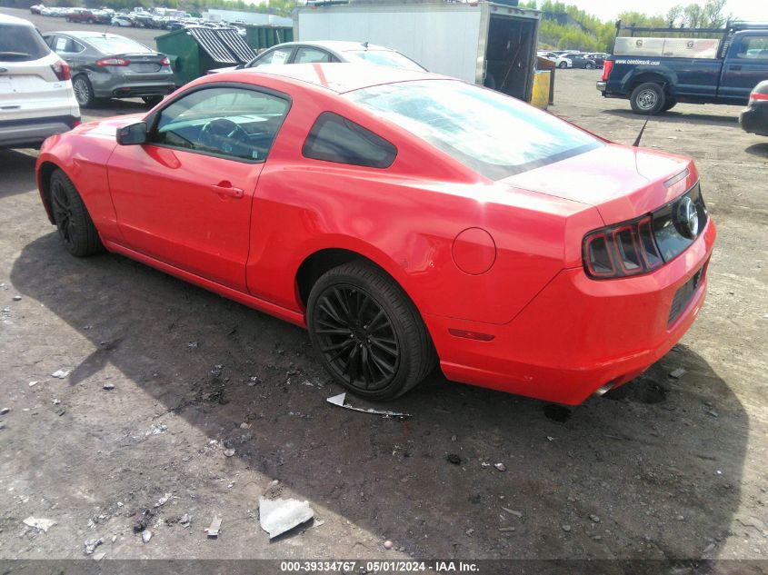 1ZVBP8AM8E5316242 | 2014 FORD MUSTANG