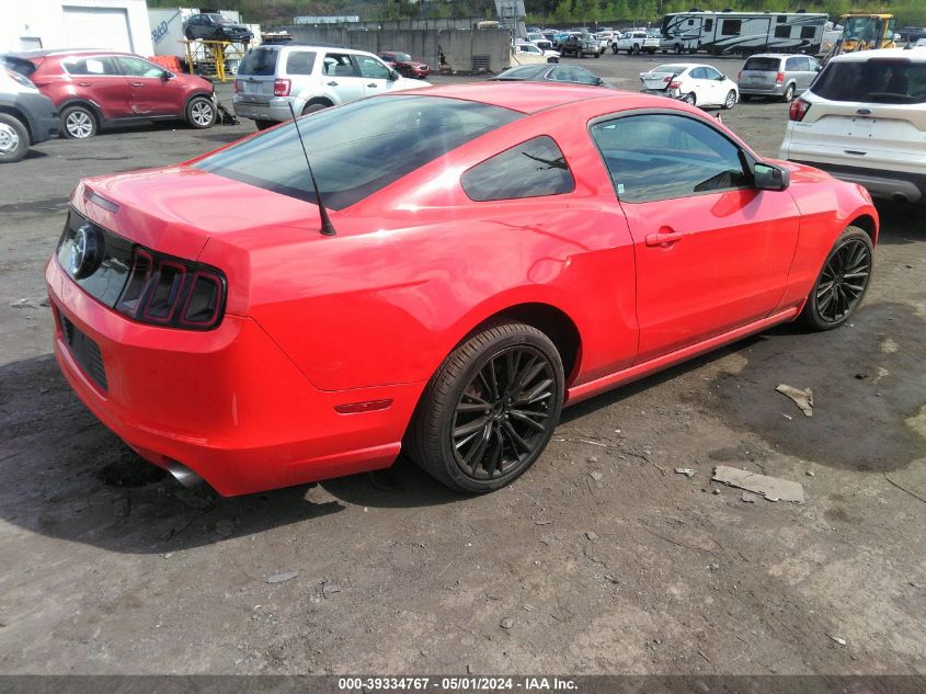 1ZVBP8AM8E5316242 | 2014 FORD MUSTANG