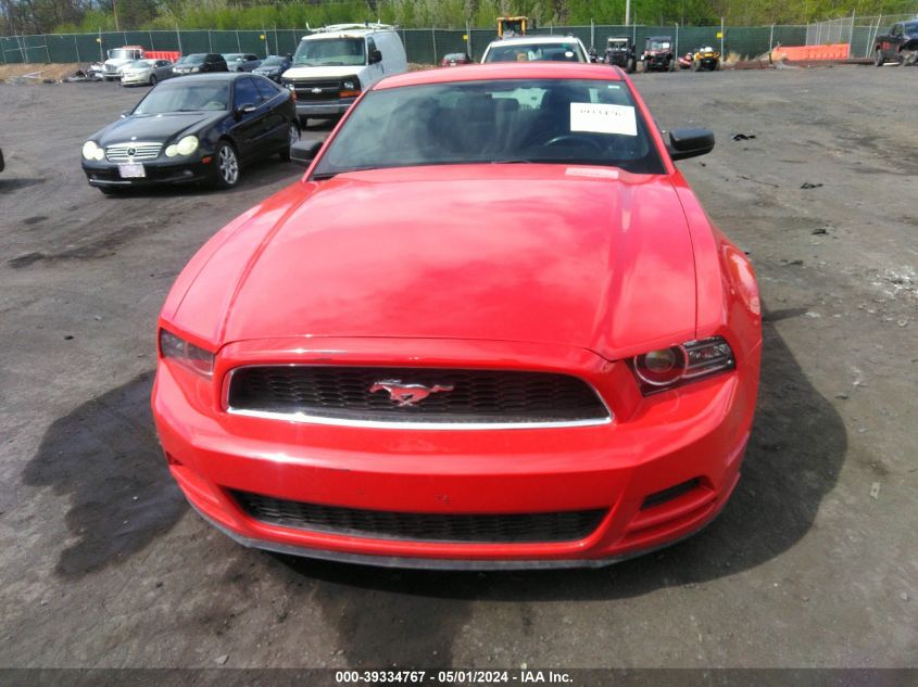 1ZVBP8AM8E5316242 | 2014 FORD MUSTANG