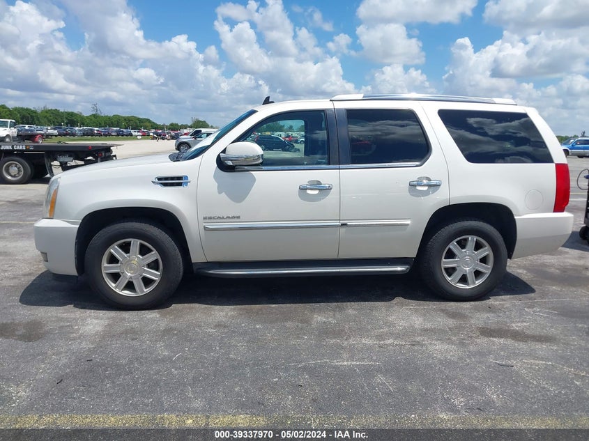 2013 CADILLAC ESCALADE STANDARD - 1GYS3AEF8DR288896