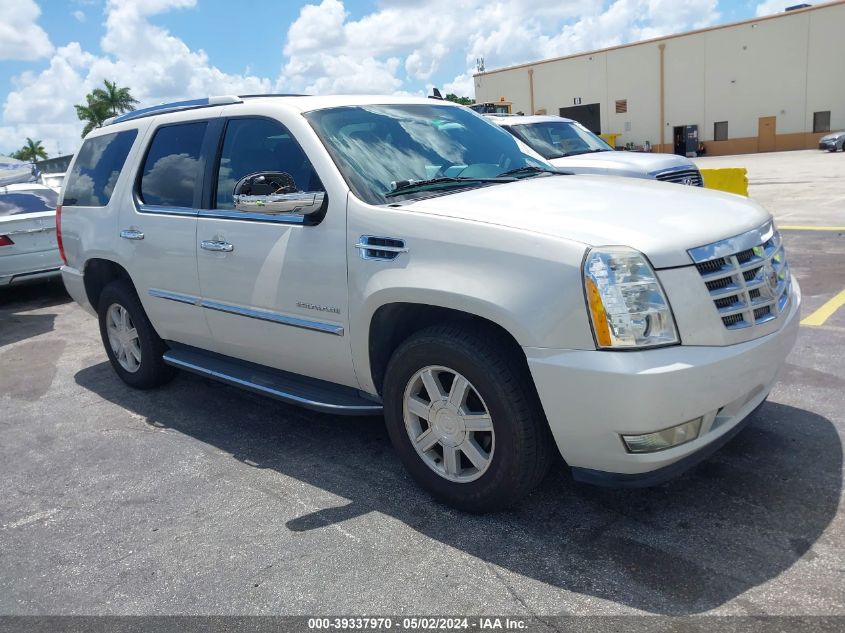 2013 CADILLAC ESCALADE STANDARD - 1GYS3AEF8DR288896