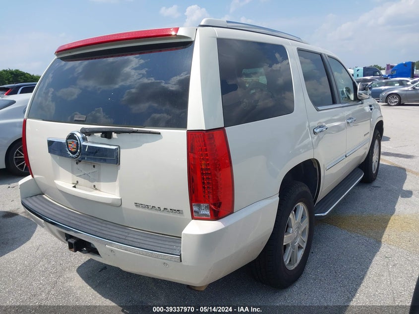 2013 CADILLAC ESCALADE STANDARD - 1GYS3AEF8DR288896